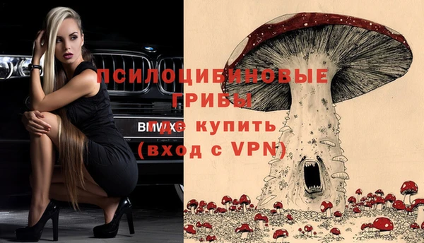 дмт Белокуриха