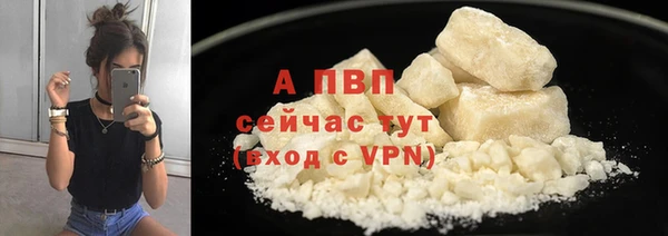 дмт Белокуриха
