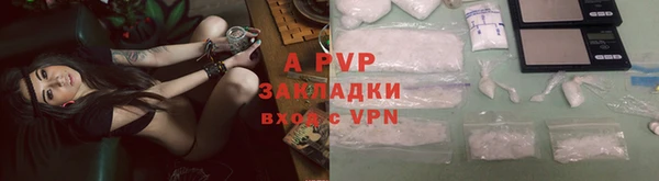 прущие крисы Беломорск