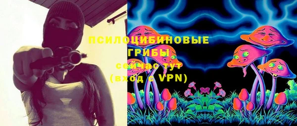 дмт Белокуриха