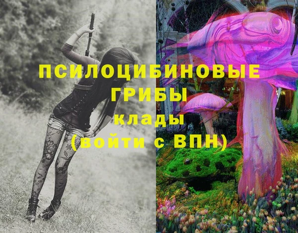 2c-b Белоозёрский