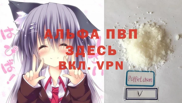 прущие крисы Беломорск