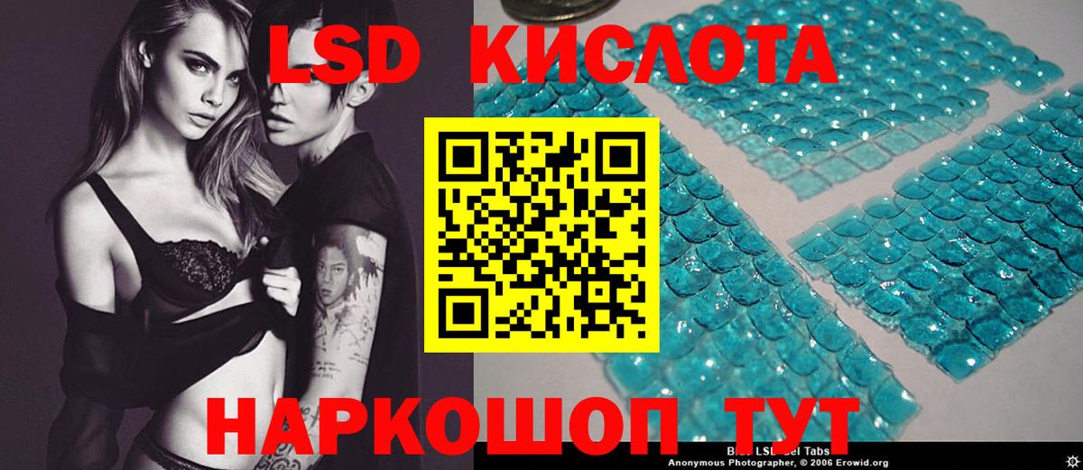 kraken   Вход с VPN  Горячий Ключ  Лсд 25 экстази кислота  Лсд 25 экстази кислота 