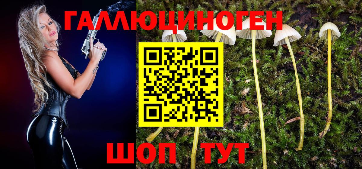 Псилоцибиновые грибы MAGIC MUSHROOMS  где найти наркотики  Вход с VPN  Горячий Ключ  Галлюциногенные грибы ЛСД 